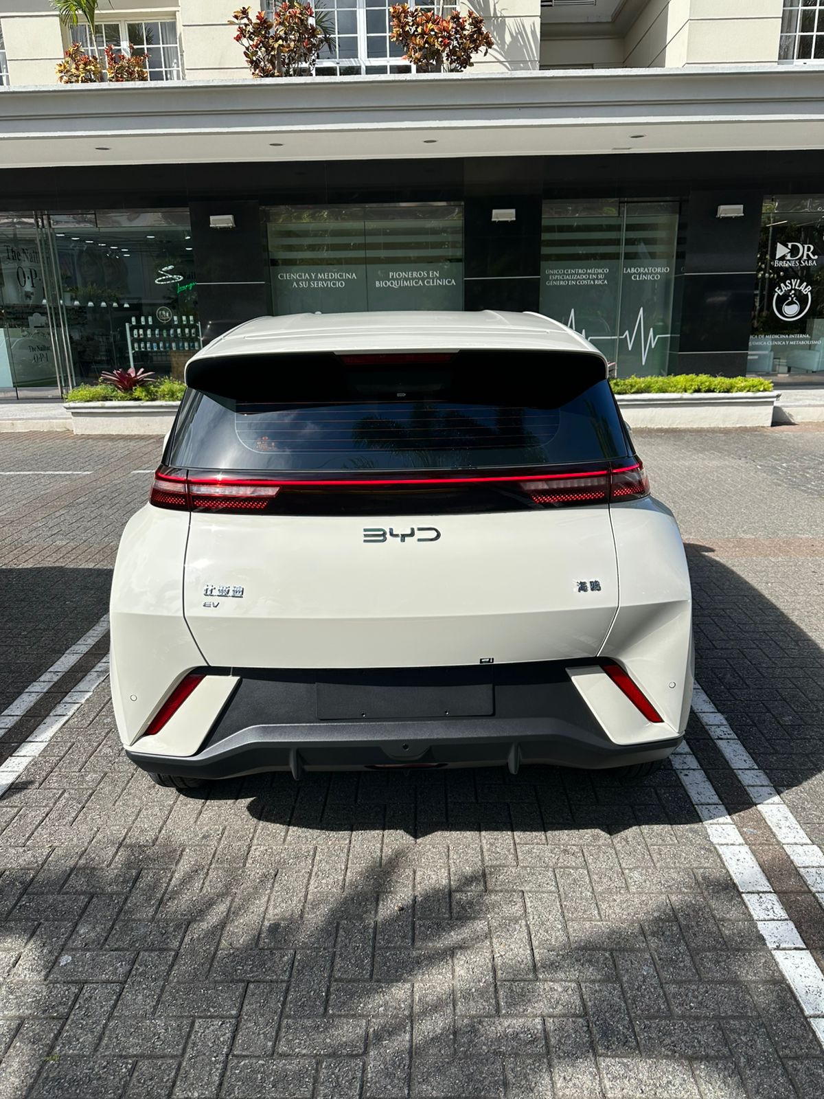 BYD Tang EV thumbnail 2